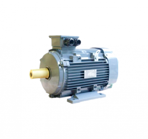 AC Motor 400V